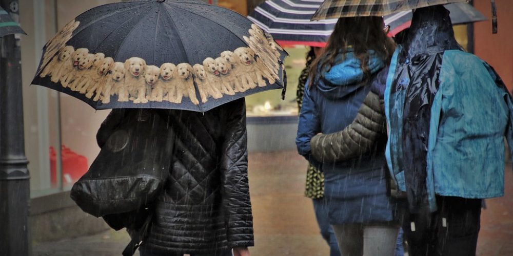 Yellow and orange severe weather alerts for strong winds and heavy rain in the Serrania de Ronda